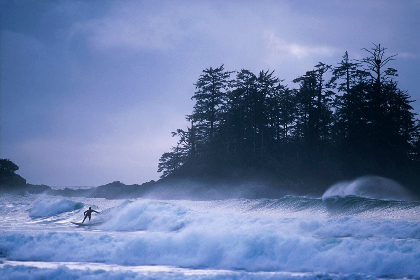 Tofino