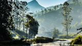 Indien, Munnar