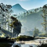 Indien, Munnar