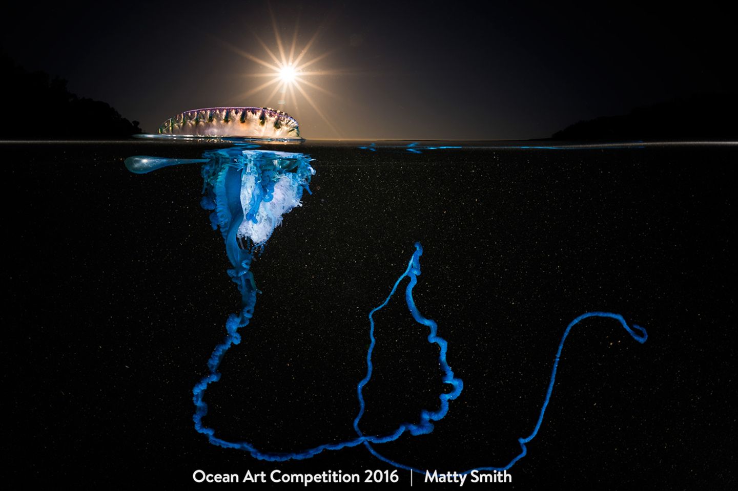 Ocean Art Competition 2016 / Matty Smith