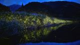 A Pageant of Light: Art by the Firefly
