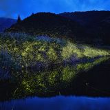 A Pageant of Light: Art by the Firefly