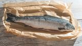 Lachs