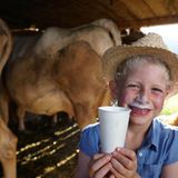 Milch vom Bauernhof