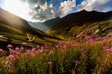Col du Sommeiller, Seealpen