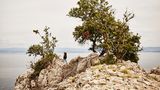 Tauchwandern