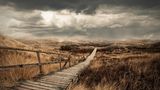 Amrum