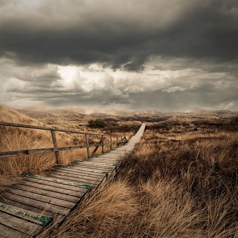 Amrum