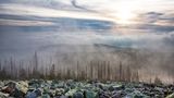 Lusen, Nationalpark Bayerischer Wald
