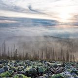 Lusen, Nationalpark Bayerischer Wald