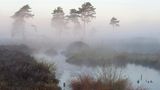 Venner Moor