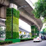 Pfeilerbegrünung in Mexiko