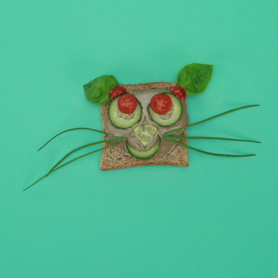 Katzen Gesicht aus Toastbrot