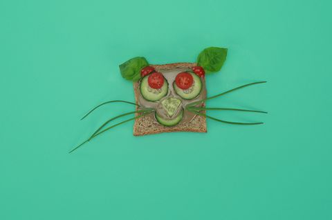 Katzen Gesicht aus Toastbrot