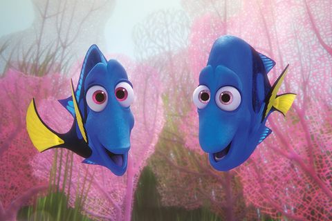 Findet Dorie