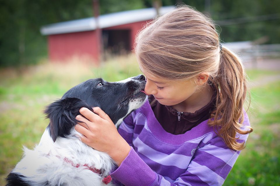 Hund küsst Mädchen Hund küsst Mädchen