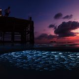 Tony Myshlyaev/UPY 2017