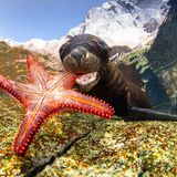 Francis Pérez/UPY 2017