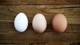 Eier