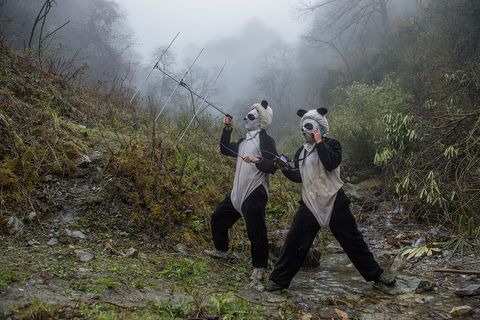 Pfleger im Pandagehege mit Sender