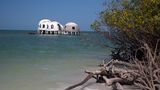 Dome Houses, Florida