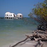 Dome Houses, Florida