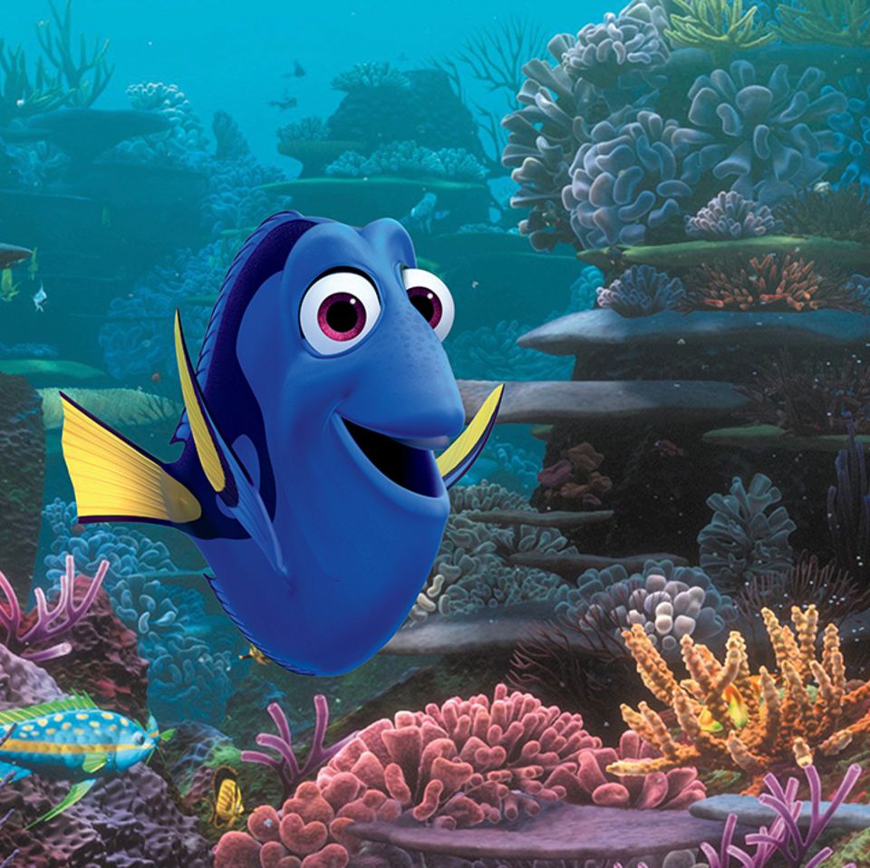 Dorie vor bunten Riffen