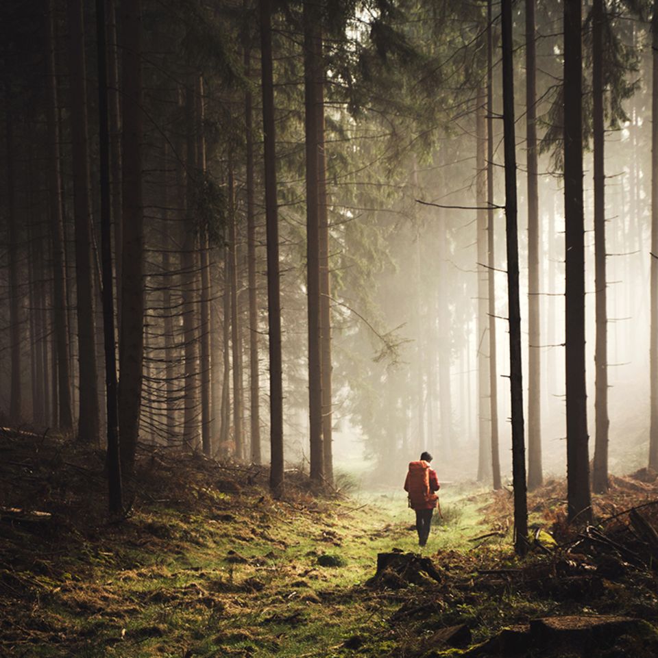 Instagrammer der Woche - Leo Thomas