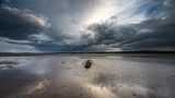 Holy Island