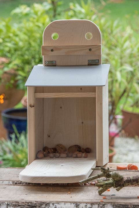 Eichhörnchen Futterkasten Bauplan & Anleitung [GEOLINO]