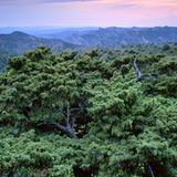 Georgien, Waschlowani-Nationalpark