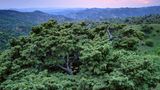 Georgien, Waschlowani-Nationalpark