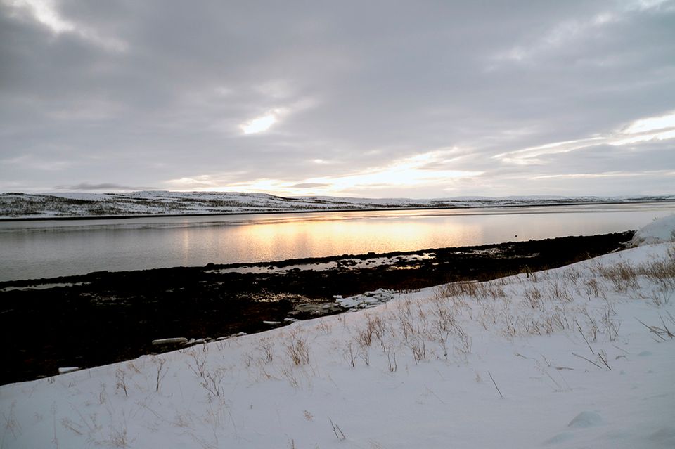 Arktischer Tundra Winter