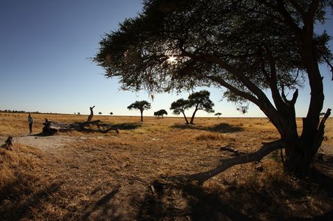 Afrikanische Landschaft