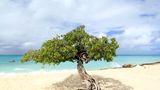 Eagle Beach - Aruba
