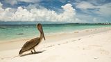 Grace Bay beach