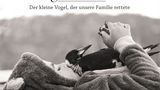 Penguin Bloom