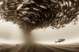 Christian Vizl, Mexico, Shortlist, Professional, Natural World, 2017 Sony World Photography Awards