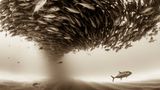 Christian Vizl, Mexico, Shortlist, Professional, Natural World, 2017 Sony World Photography Awards