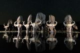 Andreas Hemb, Sweden, Shortlist, Open, Wildlife, 2017 Sony World Photography Awards