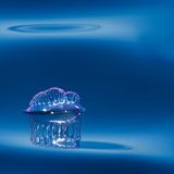 Enrico Villa, Italy, Commended, Open, Wildlife, 2017 Sony World Photography Awards