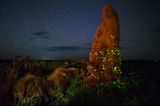 Marcio Cabral, Brazil, Commended, Open, Wildlife, 2017 Sony World Photography Awards