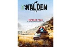 Walden Nr. 5