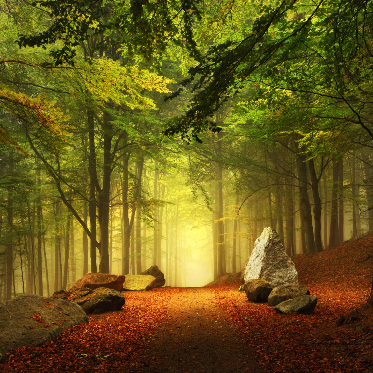Foto Tipps So Gelingen Besondere Landschaftsfotos GEO 