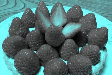 Erdbeeren