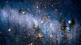 Masayasu	 Sakuma, Japan, Shortlist, Open, Nature, 2017 Sony World Photography Awards