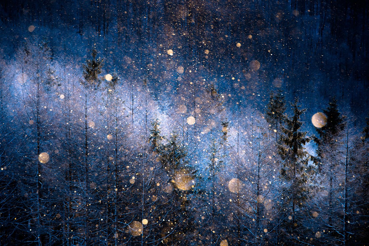 Masayasu	 Sakuma, Japan, Shortlist, Open, Nature, 2017 Sony World Photography Awards