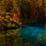 Pedro Patrício, Portugal, Commended, Open, Nature, 2017 Sony World Photography Awards