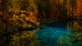Pedro Patrício, Portugal, Commended, Open, Nature, 2017 Sony World Photography Awards