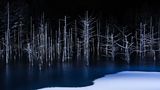 Hiroshi Tanita, Japan, Shortlist, Open, Nature, 2017 Sony World Photography Awards